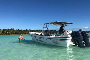 Private: Saona Island Day Trip with Lunch & Cruise