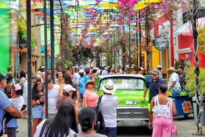 Puerto Plata: Countryside, Butterfly Farm, and Monkey Watching
