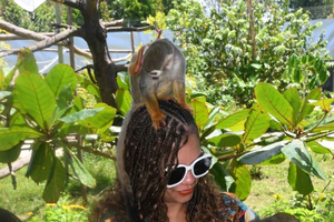 Puerto Plata: Monkey Sightseeing Tour and Glimpse of Cows and Pigs
