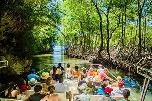 Punta Cana: aventura 3 en 1 Parque Haitises Cascada Montaña