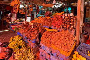 Punta Cana Cultural Tour History and Traditions Small Group