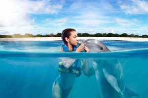 Punta Cana: Dolphin Discovery Park with Hotel Transfers