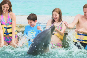 Punta Cana: Svømming og møte med delfiner på Dolphin Explorer