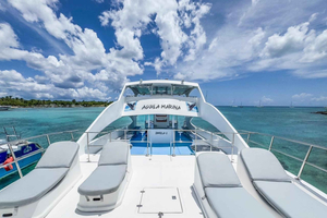 Punta Cana: Yksityinen katamaraanikierros Saonan saarelle – VIP-palvelu