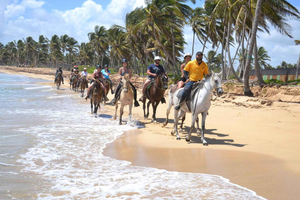 Punta Cana: Horseback Ride on Beach & Caribbean Nature Trail