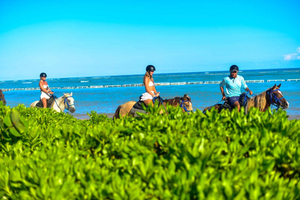 Punta Cana: Horseback Ride, Swim, and Polo Experience