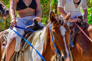 Punta Cana: Horseback Riding Tour. Connect with nature at a gallop.