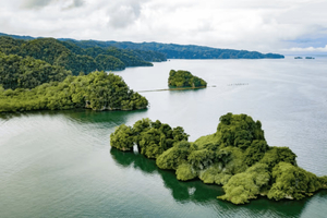 Punta Cana: Los Haitises + Caño Hondo en Montaña Redonda