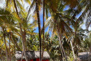 Punta Cana: ensiluokkainen mönkijäretki pienryhmässä