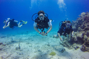 Punta Cana: Dykkereventyr til Catalina Island