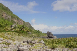 Samaná Adventure: Hiking, Mines, Safari & Hidden Beaches