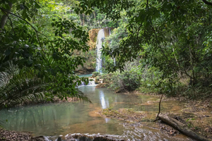 Samana: Versteckter Wasserfall und die unberührte Insel Bacardi