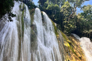 Samaná: Private Early-Morning Trek to El Limón Waterfall