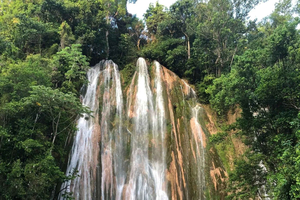 Samaná: Private Horseback Riding to El Limón Waterfall