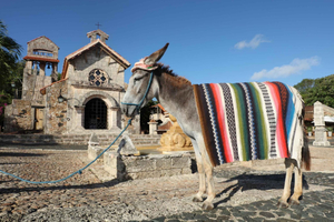 Santo Domingo: Guided Tour of Altos de Chavón, Caves, and Ron Barceló