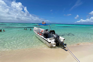 Isola di Saona VIP: 4 spiagge, Mano Juan e Canto de la Playa