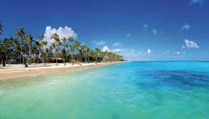 The Best Beaches in the Dominican Republic 