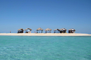 Cayo Arena: Tour dell'Isola Paradiso e delle Mangrovie