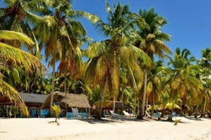 Punta Cana: Dagstur til Saona Island med lunsj og drikke