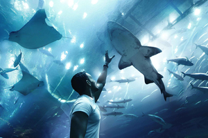 Abu Dhabi Mosque & Sea World Tour from Dubai