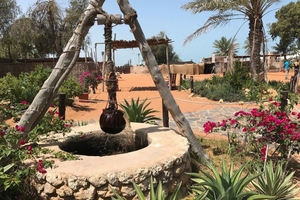Abu Dhabi Private Full-Day City Tour with Heritage Lunch