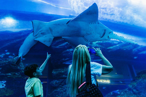 Dubai: Aquarium & Burj Khalifa Levels 124 & 125 Combo Ticket