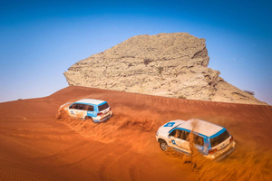 Dubai: Half-Day Desert Safari, Camel Ride, ATV & Dune Buggy