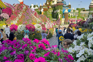 Dubai: Miracle Garden Tour With Return Transfer