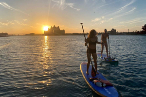 Dubai: Palm Jumeirah Paddle Boarding Tour