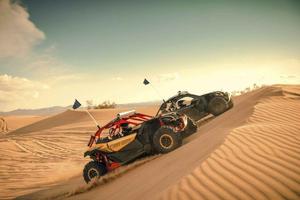 Dubai: Red Dunes Quad Bike, Dune Buggy, Camel & Refreshments