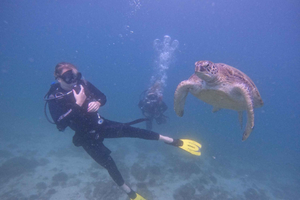 From Dubai: 2 Dives for Certified Divers with BBQ & Transfer