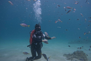 From Dubai: Try Scuba Diving, Snorkeling with BBQ & Transfer