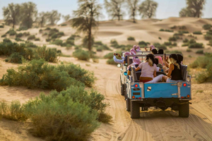 Heritage Safari in Vintage Land Rover with Dinner