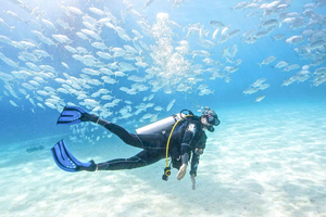PADI Basic Scuba Diving Course