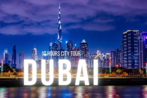 Private Car and Driver for 5 Hours City Tour