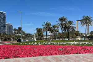 Private City Tour with Burj Khalifa Levels 124/125