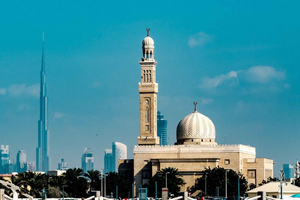 Private Full or Half Day City Tour with Emirati Lunch