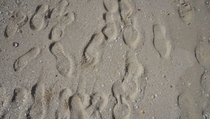 Dubai's White Sandy Beaches