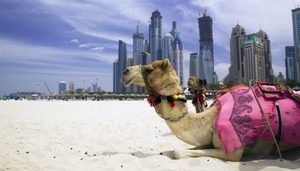 Weekend Getaways in and Around Dubai