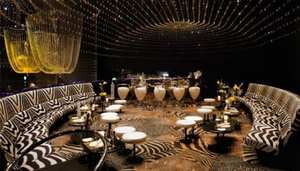 Cavalli Club