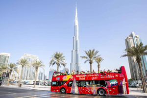 City Sightseeing HOHO Bus Tour + Sunset & Night Tour