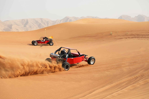 Dubái: aventura en coche con buggy de 2000 cc y barbacoa
