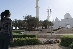 Dubai: Sheikh Zayed Mosque & SeaWorld Entry w/ Transfer