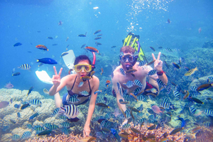 Desde Excursión de snorkel a Dibba Al-Fujairah