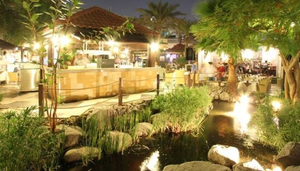 Meridien Village Terrace