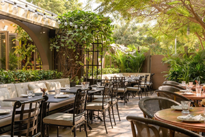 Nola Eatery & Social House