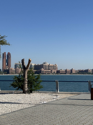 Palm Jumeirah Frond D