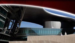 Zayed University