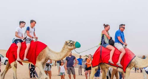 Afternoon Desert Safari: Sandboarding, Camel Ride, Live Shows with BBQ Dinner