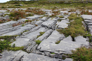 Dublin : falaises de Moher, Burren et château de Bunratty